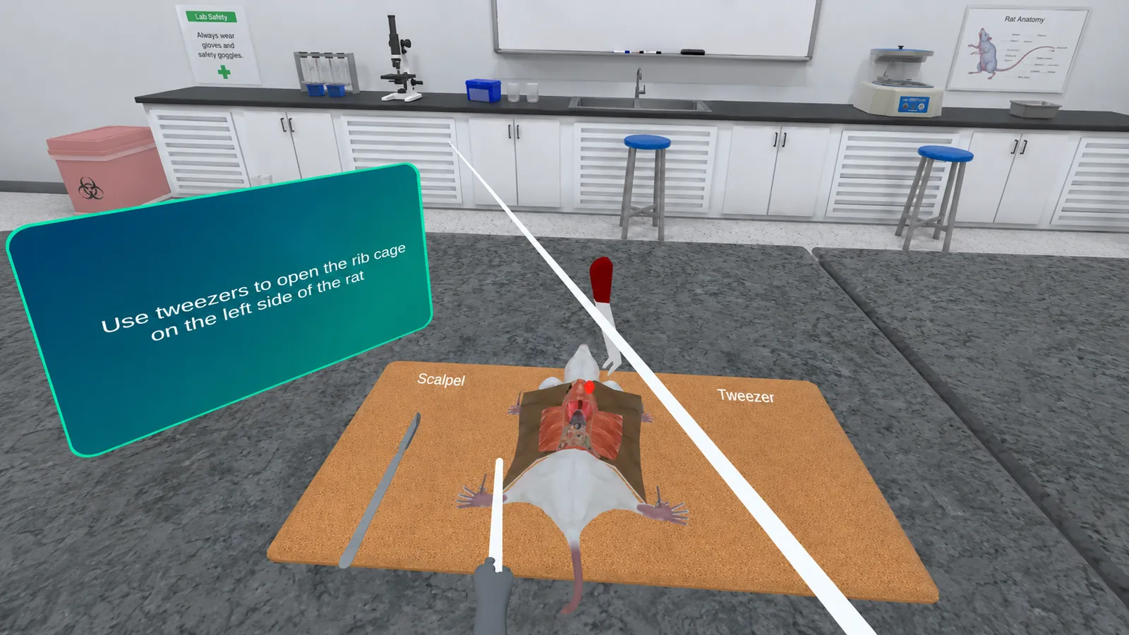 Virtual biology lab, a guided rat dissection in VR with step prompts